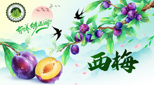 西梅