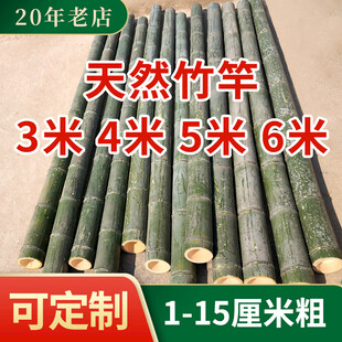竹子主图设计 天然竹竿