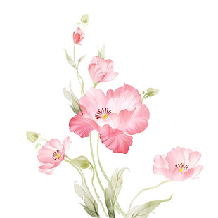 花卉