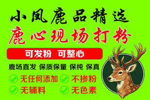 鹿产品