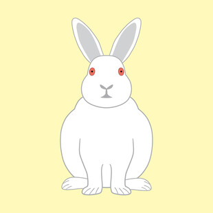 十二生肖可爱坐姿白兔插画