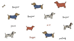 多样可爱腊肠犬插画