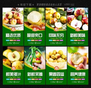冬枣