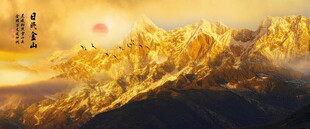 背靠金山