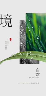 白露