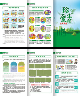 国际禁毒日三折页