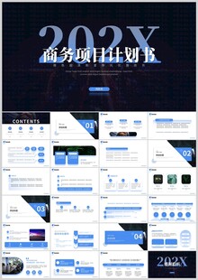 202X商务通用PPT模板