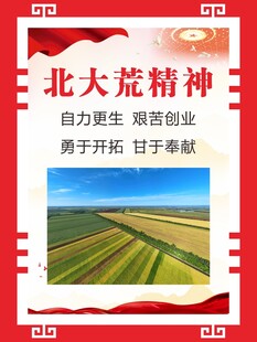 北大荒