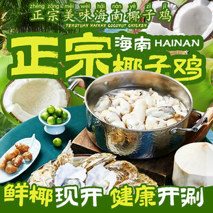 海南椰子鸡入口图