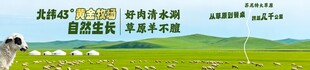 草原海报