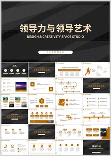 领导力与领导艺术PPT