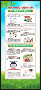 预防呼吸道传染病知识展架