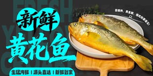 新鲜黄花鱼 