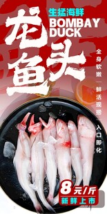 龙头鱼 