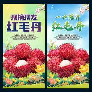 红毛丹