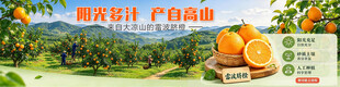 雷波脐橙