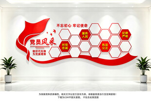 党员风采