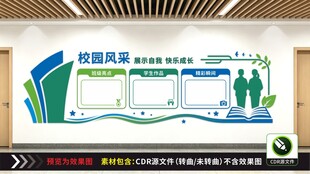 校园风采文化墙