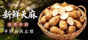 天麻 