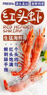 红头虾