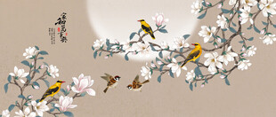 玉兰花