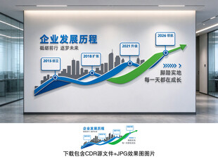企业发展历程