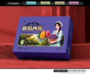 西梅包装 李子礼盒