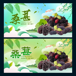 桑葚