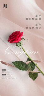 轻纱上的红玫瑰
