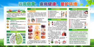 禁烟知识展板