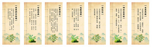 中药药材石斛介绍展板