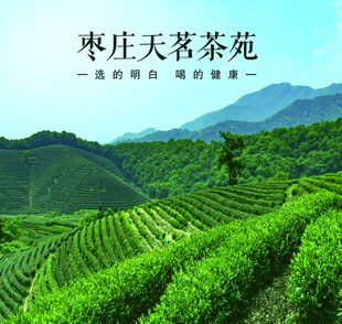 天茗茶苑海报背景
