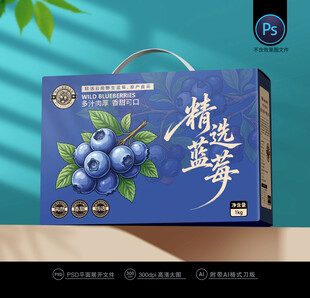 蓝莓包装