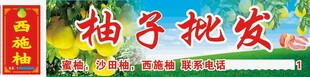 蜜柚 沙田柚 西施柚