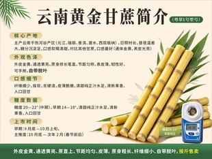 云南黄金甘蔗简介