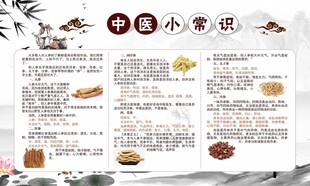 中医养生知识宣传栏
